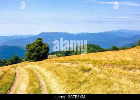 mountainous countryside in summertime. country road down the hill through the grassy meadow. trees along the path. sunny weather with cloudless sky. e Stock Photo