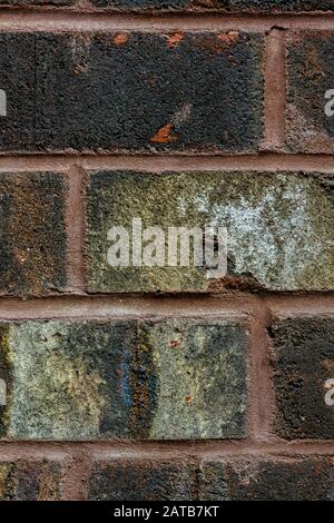 Tight close up of a richly saturated, weathered and multi-colored brick wall; background. Vertical. Stock Photo