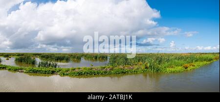 Panorama of marshes on manmade artificial island of Marker Wadden, Markermeer, Netherlands Stock Photo