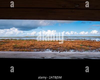 Panoramic view from birdwatch tower over marshes on manmade artificial island of Marker Wadden, Markermeer, Netherlands Stock Photo