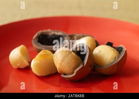 The Nut in shell rests upon red plate.Natural fruit close-up on table for feeding Stock Photo