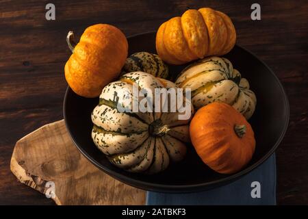 Assortment of six different decorative and edible pumpkins and gourds in dark ceramic bowl on vintage wooden background. Stock Photo