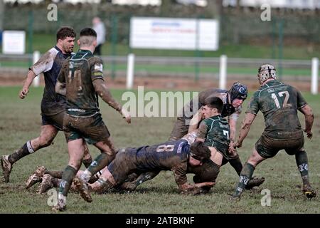 Selkirk, Selkirk RFC, Philiphaugh, UK. , . Booker Border League - Rugby Caption: Selkirk RFC vs Hawick RFC at Philiphaugh, Selkirk on Saturday 01 February 2020. A local derby clash. Billy McNeil [7](Hawick RFC) brought down in tackle by Andrew McColm [8] (Selkirk RFC) Final score Selkirk 7 - Hawick 13 ( Credit: Rob Gray/Alamy Live News Stock Photo