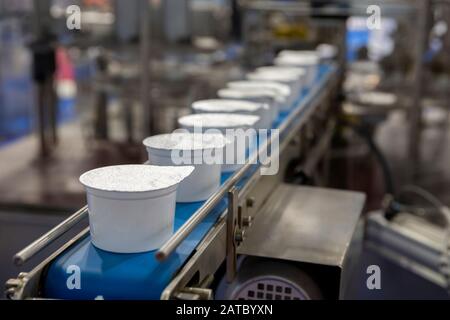 White yogurt packages on a production line in a dairy farm. Stock Photo