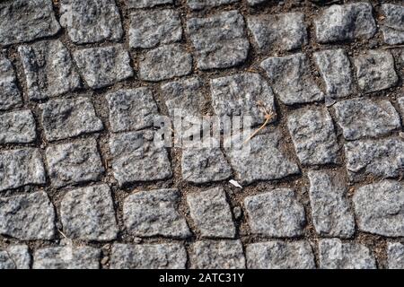 Background image of old cobblestone road backlit with low sunlight, Paving stones texture, Stone pavement with green grass. Texture or background Stock Photo
