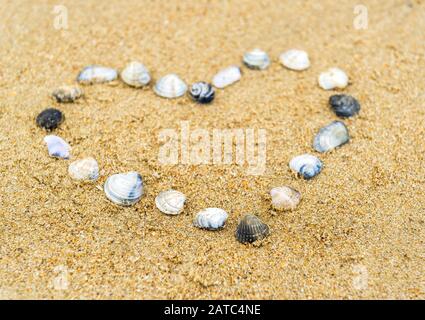 A heart built of sea shells on the sand Stock Photo