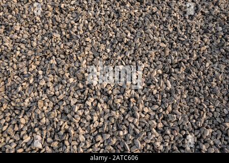 Sea stones background, Ground stone grey background of many small stones, Gravel texture. Small stones, little rocks, pebbles in many shades of grey, Stock Photo