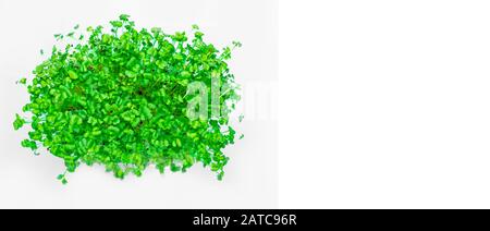 Ecologically clean food. Microgreen in plastic boxes, health food concept Stock Photo