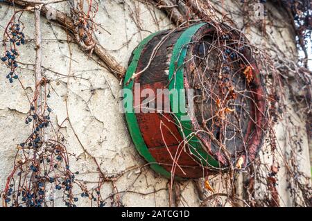 Vintage rustic wine casket hanging on white concrete wall covered in dried grapevines. Vibrant blue dried grapes and peeling green and red paint Stock Photo