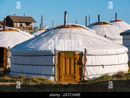 Ger camp at Hustai National Park, Mongolia Stock Photo - Alamy