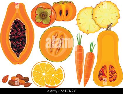 Collection of fresh orange color vegetables and fruits raw on white background Stock Vector