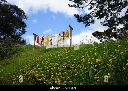 Beautiful shot of newly washed clothes getting dried in the garden under a blue sky Stock Photo