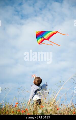 active little caucasian child in shirt holding multicolored flying kite in air standing among flower field in summer sunset