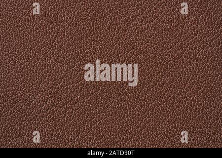 Texture of backside of brown toned leather, high detailed Stock Photo
