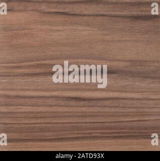 Texture of sanded raw black walnut wood without finish for product ...