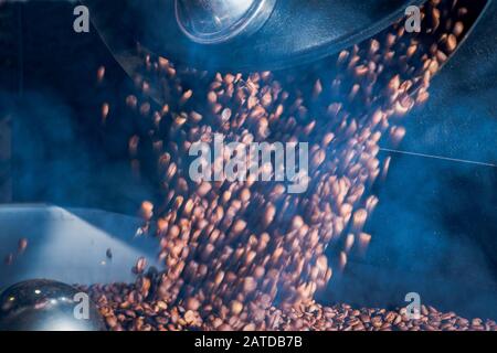 Freshly roasted coffee beans being poured from the roasting machine Stock Photo