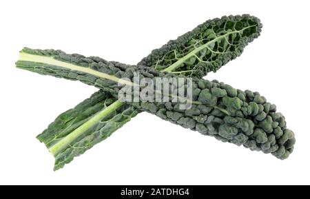 Group of black kale leaves isolated on a white background Stock Photo