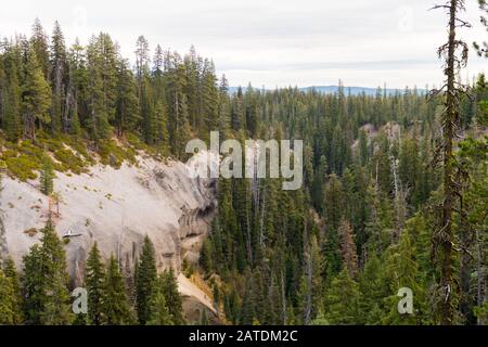 Canyon surrounded by a pine forest next to Annie Falls near Crater Lake Stock Photo