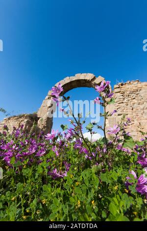 Remains of houses in the village at the Ancient Roman ruins of Djemilla, A UNESCO World Heritage site in Northern Algeria, close to Setif. Stock Photo