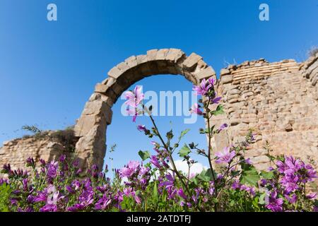 Remains of houses in the village at the Ancient Roman ruins of Djemilla, A UNESCO World Heritage site in Northern Algeria, close to Setif. Stock Photo