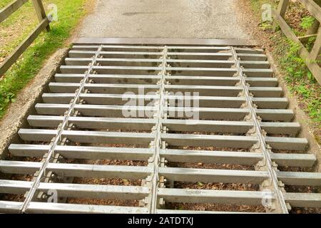 Cattle grid in the New Forest, Hampshire, England Stock Photo