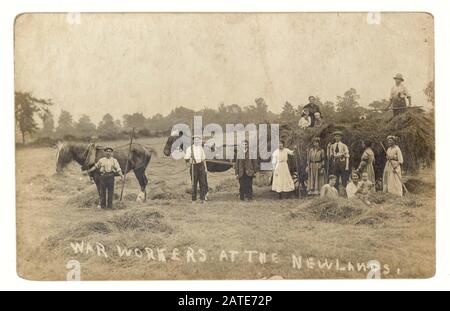 WW1 era postcard of farm workers with several Land Girls who are wearing Land Army armbands to distinguish them from the farm labourers and to show that they are on active war service. Photo taken at the Newlands, circa 1917, U.K. Stock Photo