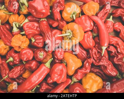 Colorful mix of chili peppers on wodden board. Close up Stock Photo