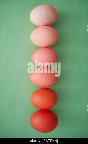 Above view background of painted Easter eggs in row gradient from red to pastel pink, copy space Stock Photo