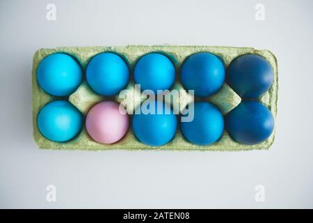 Above view of blue Easter eggs in crate with pastel pink accent arranged in minimal composition on white background, copy space Stock Photo