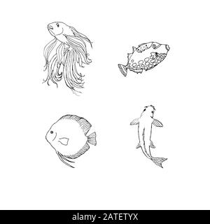 Set of fishes - discus, koi, clown and golden fish. Hand drawing sketch. Black outline on white background. Vector illustration can be used in greeting cards, posters, flyers, banners, logo, further design etc. EPS10 Stock Vector