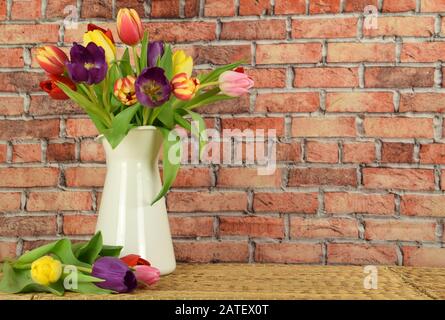 Springtime - Beginning of the year - Tulips on colored background Stock Photo