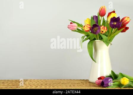 Springtime - Beginning of the year - Tulips on colored background Stock Photo