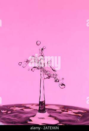 Abstract photograph of a water drop collision created with two water drops splashing together isolated against a pink background. Stock Photo