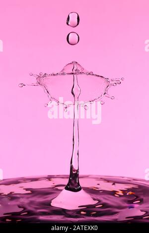 Abstract photograph of a water drop collision created with two water drops splashing together isolated against a pink background. Stock Photo