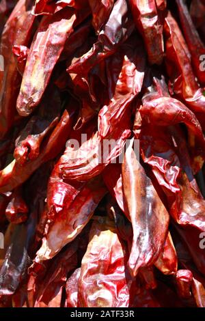 Close up red chile chilli pepper pods hanging outside building in New Mexico, USA as decorations. Santa Fe, Southwest America.  String of dried pods Stock Photo
