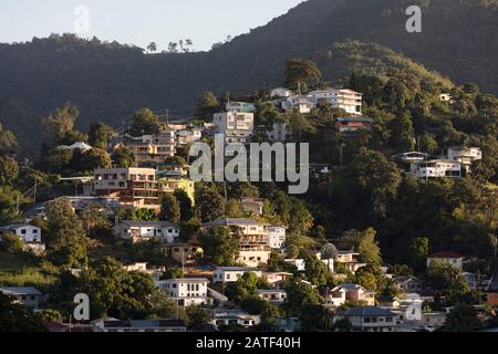 Houses on forested hillside neighborhood, Port of Spain, Trinidad & Tobago Stock Photo