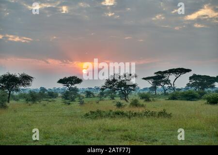 landscape with sunrise in Serengeti National Park, UNESCO world heritage site, Tanzania, Africa