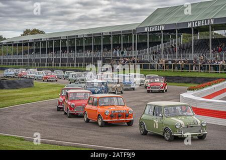 Goodwood revival massive parade of minis on the first day. Stock Photo