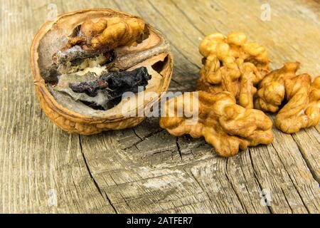 Moldy walnut on wooden table. Unhealthy food. Food mold. Poisonous mold. Storage of nuts. Stock Photo