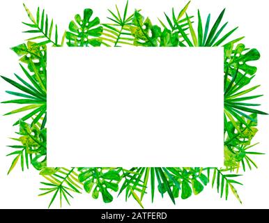 hand drawn tropical palm leaves frame with white board for copy space. postcard invitation Stock Vector