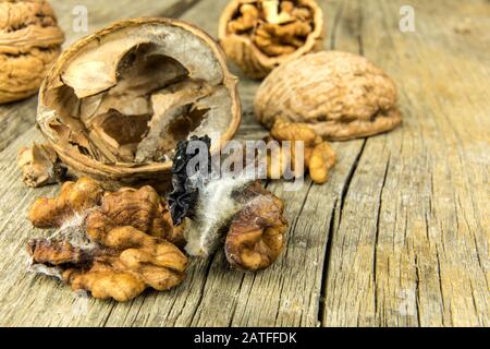 Moldy walnut on wooden table. Unhealthy food. Food mold. Poisonous mold. Storage of nuts. Stock Photo