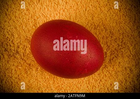 Kulichi, traditional Russian Easter cake with icing and dyed eggs Stock Photo