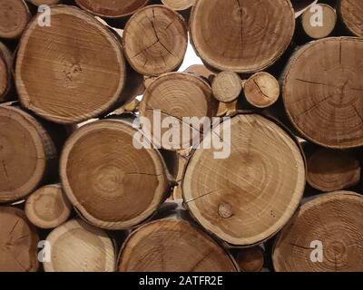 Section through logs and branches showing woodgrain rings Stock Photo
