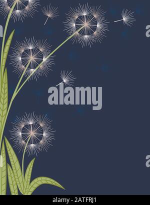 Dandelions flowers with flying seeds on dark blue background flat vector vertical illustration Stock Vector