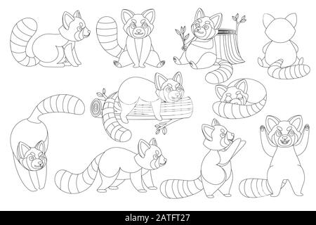 Set of cute adorable red panda in different poses cartoon design animal character flat vector style illustration on white background outline style Stock Vector