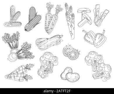 Set of fresh raw vegetables flat vector illustration isolated on white background outline style Stock Vector