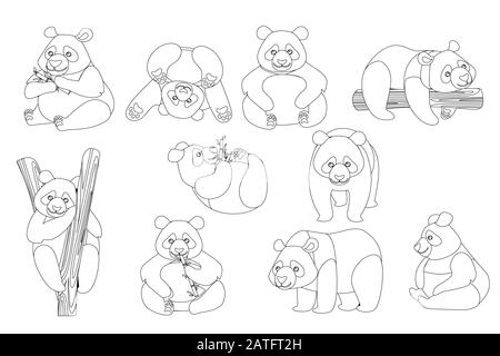 Set of cute big panda in different poses cartoon animal design outline style flat vector illustration Stock Vector