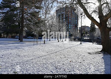 Reno, Nevada - January 17, 2020: Wingfield Park in early morning after snowstorm. Stock Photo