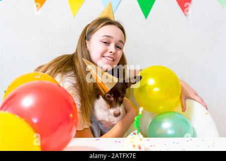 Cute small funny dog with a birthday cake and a party hat celebrating birthday with girl mistress. Beautiful young woman hugs a dog in holiday caps. Dog birthday party. Friendship concept. Stock Photo