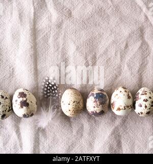 Easter quail eggs and feathers on natural linen background. Easter background. Easter and healthy organic food concept. Stock Photo